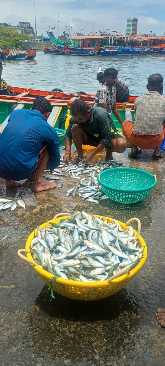 Bay of Bengal nations adopt AI for fisheries management