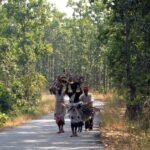 PCCF, senior forest officers join cleanliness campaign in Horhap Forest
