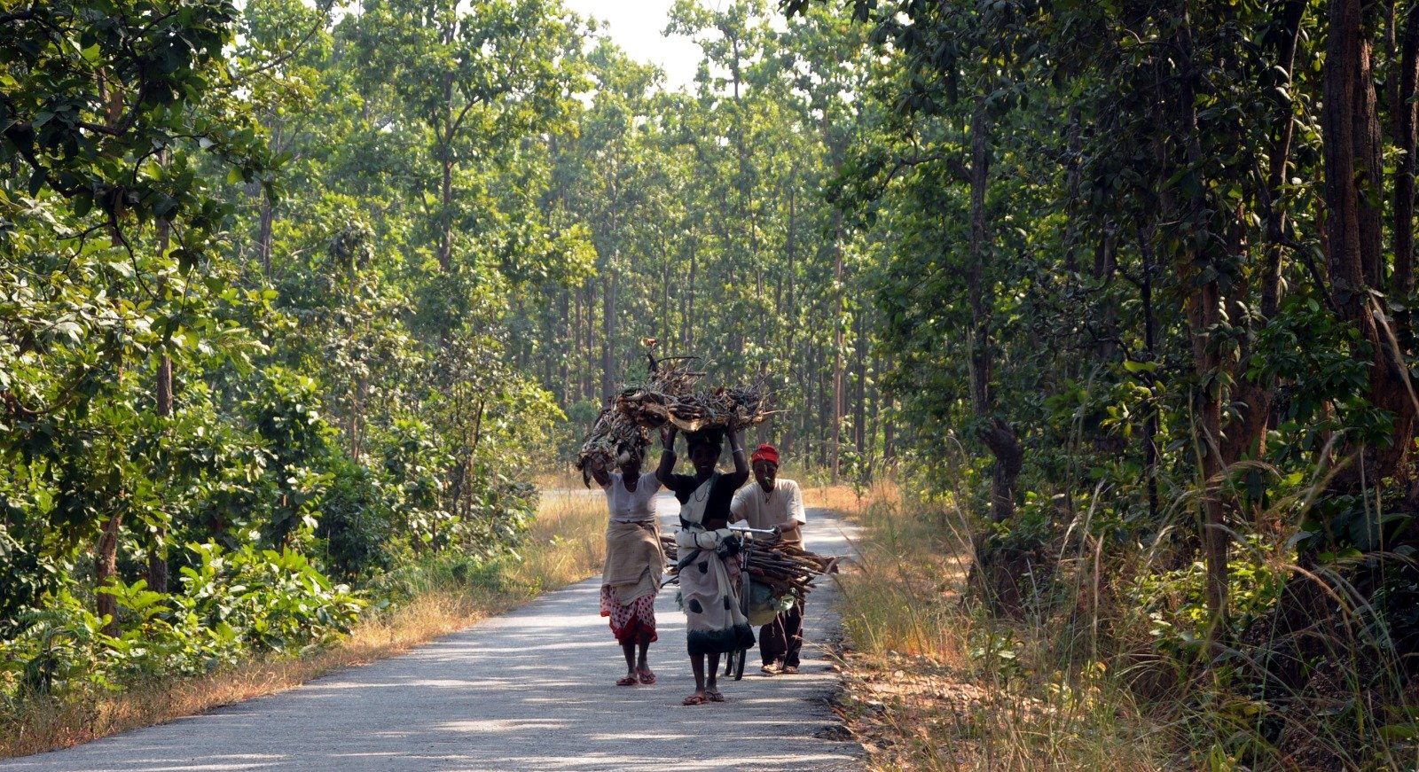 PCCF, senior forest officers join cleanliness campaign in Horhap Forest