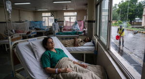 Dengue cases rise as two doctors and BSF jawan test positive