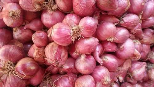Large piles of big onions being unloaded from transport trucks by traders inside the busy Koyambedu wholesale market in Chennai.