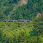 India’s Forest Wealth & Its Conservation