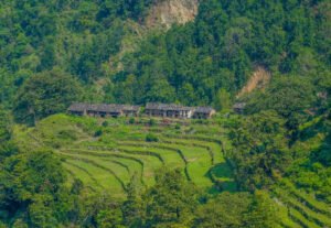 India’s Forest Wealth & Its Conservation
