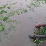 Damodar River debris chokes JMADA intake