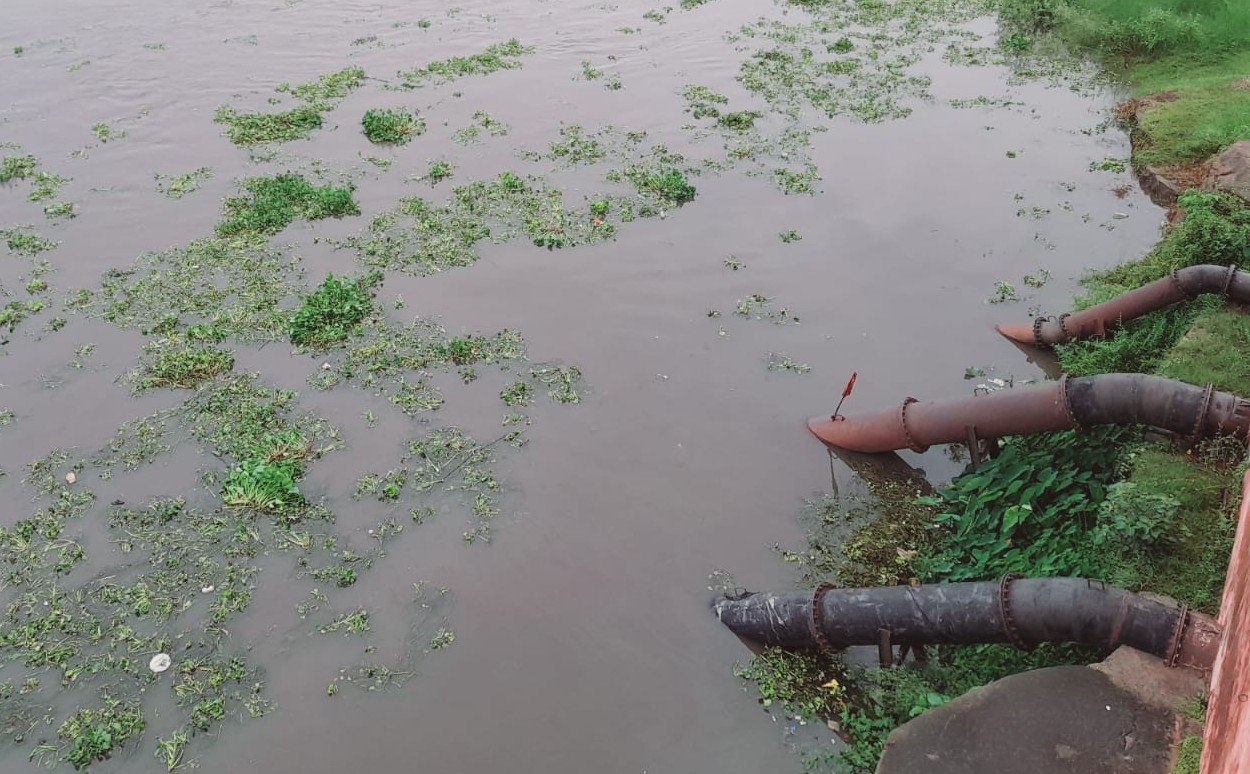 Debris accumulated near the JMADA intake in the Damodar River