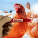 Sydney Reports First Case of Deadly H5N1 Bird Flu; NSW Issues Urgent Biosecurity Advisory