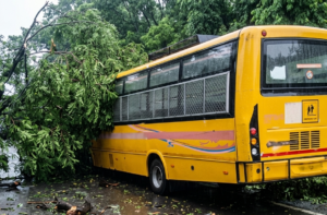 Tree Falls on School Bus Amid Incessant Rain; All Children Evacuated Safely