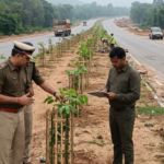 NHAI, Forest Department asked to ensure proper plantation along NH-33