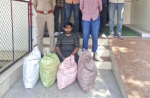 659 Bottles of Illicit Codeine Cough Syrup Seized in Ahmedabad; Two Arrested
