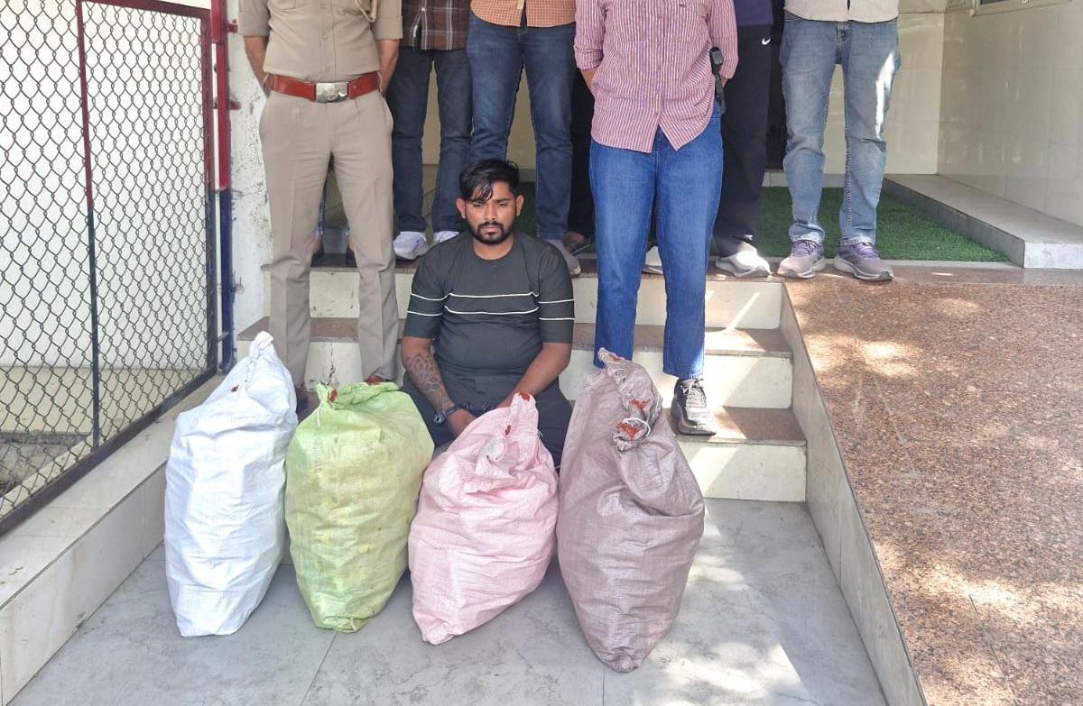 659 Bottles of Illicit Codeine Cough Syrup Seized in Ahmedabad; Two Arrested