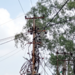 Low hanging wires, exposed junction boxes, raise safety concerns in city